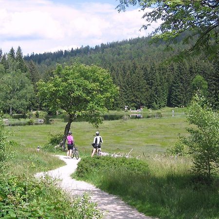 Bio Appartement Resort Bodenmais Zewnętrze zdjęcie