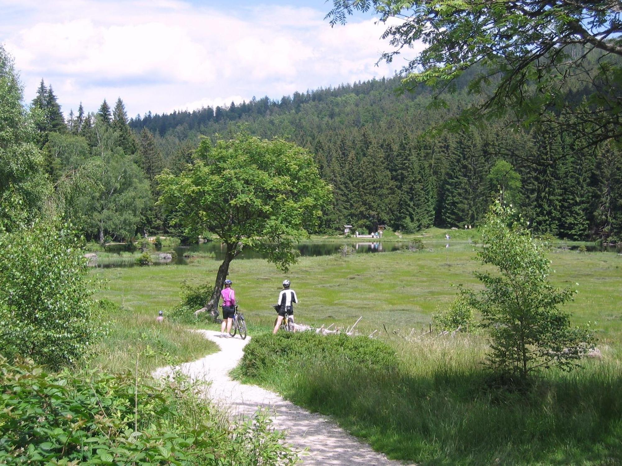 Bio Appartement Resort Bodenmais Zewnętrze zdjęcie